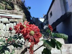 -塔川景区