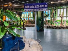 -海合安武汉极地海洋公园