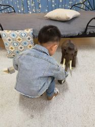 -小熊维尼高端儿童摄影(宝安旗舰店)