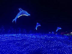 -云幽谷旅游区