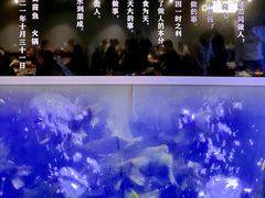 -石锅苗苗鱼(武汉首店)