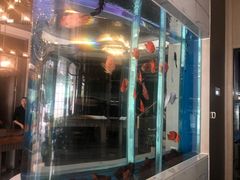 -悦百味·品质川菜(橄榄郡店)