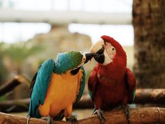 -杭州开元森泊度假乐园