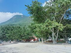 -抚仙湖禄充风景区