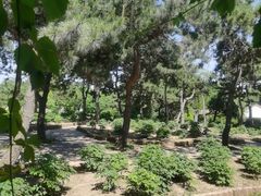 -沈阳植物园
