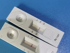 -瑞派申生动物医院·24H夜诊·国际动物医疗中心·骨外科(吴中路店)