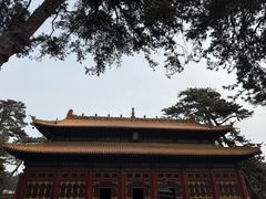 -普乐寺