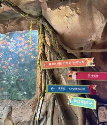 -尚圣月子会所·庄园式月子中心(萧山湘湖店)