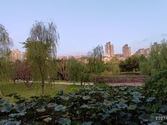 -沐仙湖湿地公园