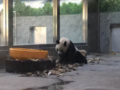 -西安秦岭野生动物园