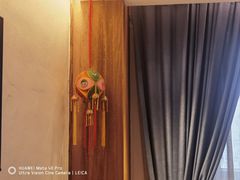 -甘家界牌柠檬鸭(青山店)