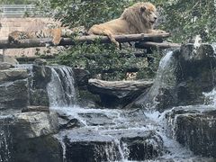 -北京野生动物园