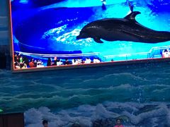 -多彩贵州城极地海洋世界