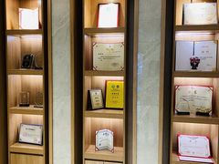 -北京派仕佳德动物医院·超导核磁·CT·神经科·骨科·内外科·急重症管理中心