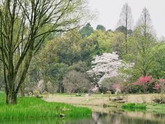 -杭州植物园