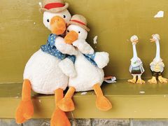 -三忘湖 SWANSEEN(柳荫公园店)