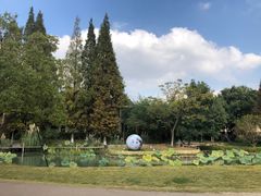 -乌村