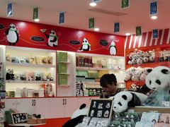 -熊猫邮局(少城店)