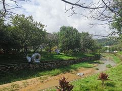 -红山村