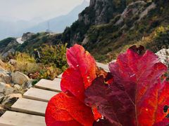 -白草畔自然风景区