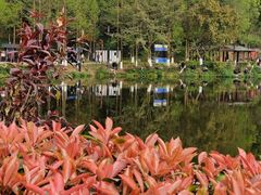 -重庆彩云湖湿地公园