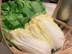 -同仁四季椰子鸡(福田东园总店)