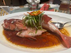 -粤珍轩(新城广场店)