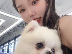 -怪兽屋·羊驼·猫咖·狗咖(俊华广场店)