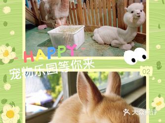 这里有可爱的小动物等你哟！