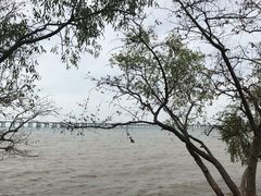 -宝安西湾红树林湿地公园