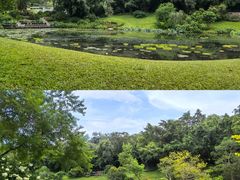 -云溪植物园