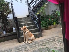 -浔岚云舍mist静谧观景美宿(丽江古城店)