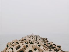 -东疆建设开发纪念公园