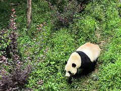 -黔灵山公园