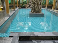 -御池园(顾村公园店)
