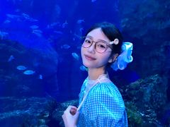 -海合安成都极地海洋公园