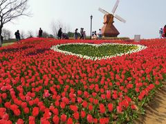 -杭州湾海上花田景区