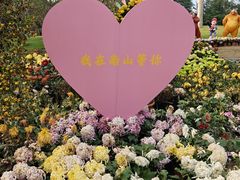 -南山植物园