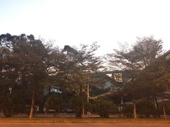 -瑞幸咖啡(同和金铂天地店)