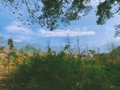 景点-福清灵石山国家森林公园