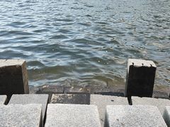 -五缘湾湿地公园