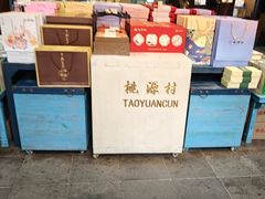 -桃源村(老门东店)