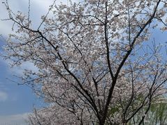 -长田漾湿地公园