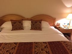 -南京维景国际大酒店(南京博物院店)