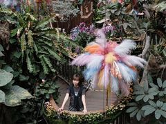 -正佳雨林生态植物园