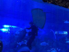 -成都浩海立方海洋公园