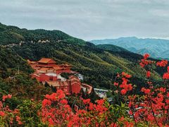 -永州阳明山国家森林公园