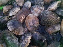 -钱大妈海鲜饭店(保利林语店)