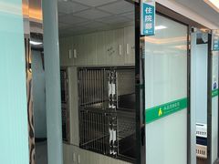 -半岛宠物医院24小时(科华中路店)