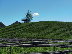 -会稽山峡洞漂流-上青古道